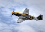 P51 Mustang