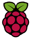 Raspberry Pi Foundation Logo